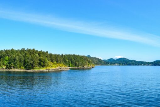 Centrum Wypoczynku Odys – niezapomniany pobyt nad Jeziorem Żywieckim